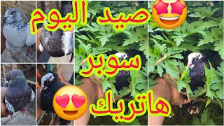 😍😍صيد اليوم خير من الله🥰🥰احلا صيد ونسه تعالووو شوفووو🥰@
