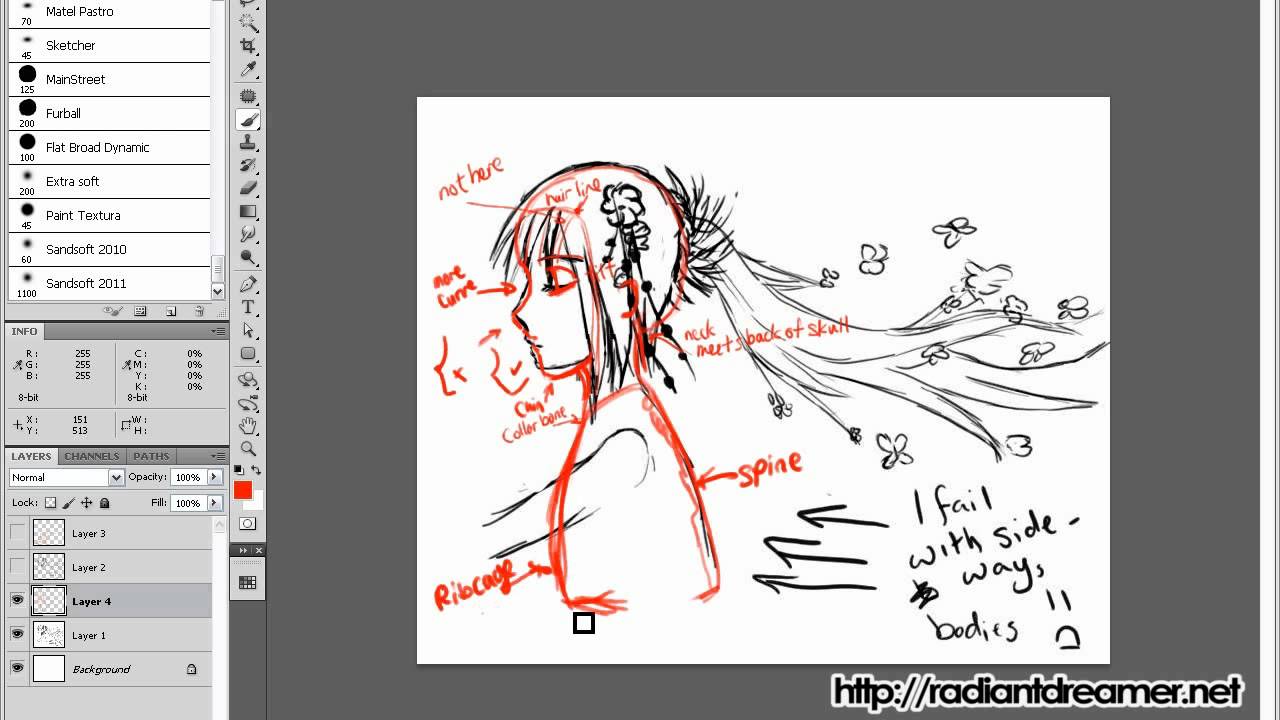  How To Draw Anime Correcting Anatomy YouTube