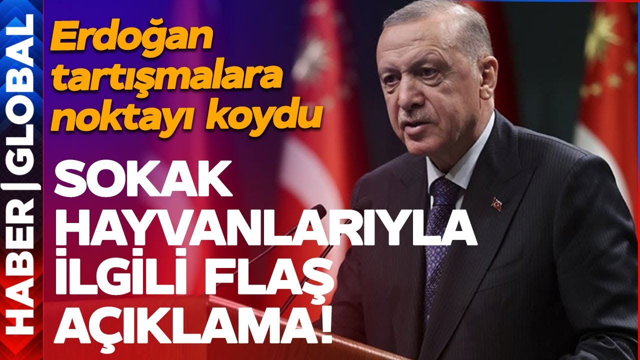 Cumhurbaşkanı Erdoğan'dan İlk Açıklama: Umduğumuz Neticeyi Alamadık