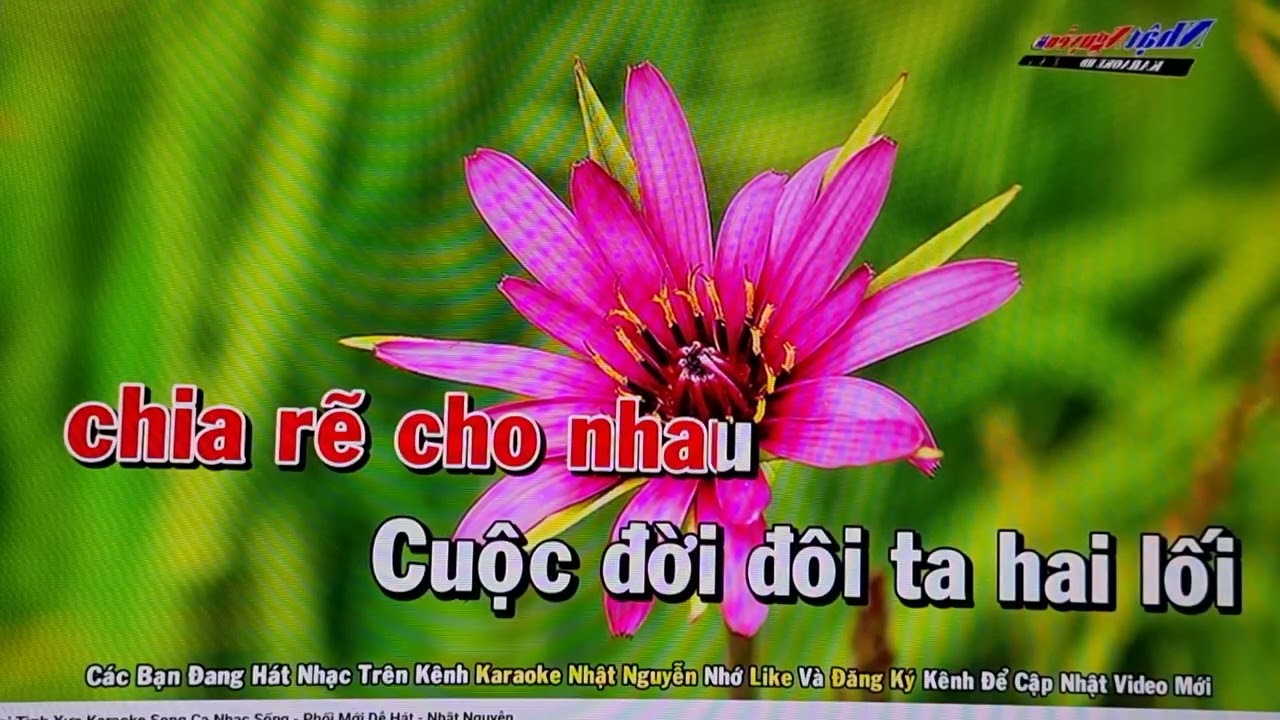 NOI LẠI TÌNH XƯA 