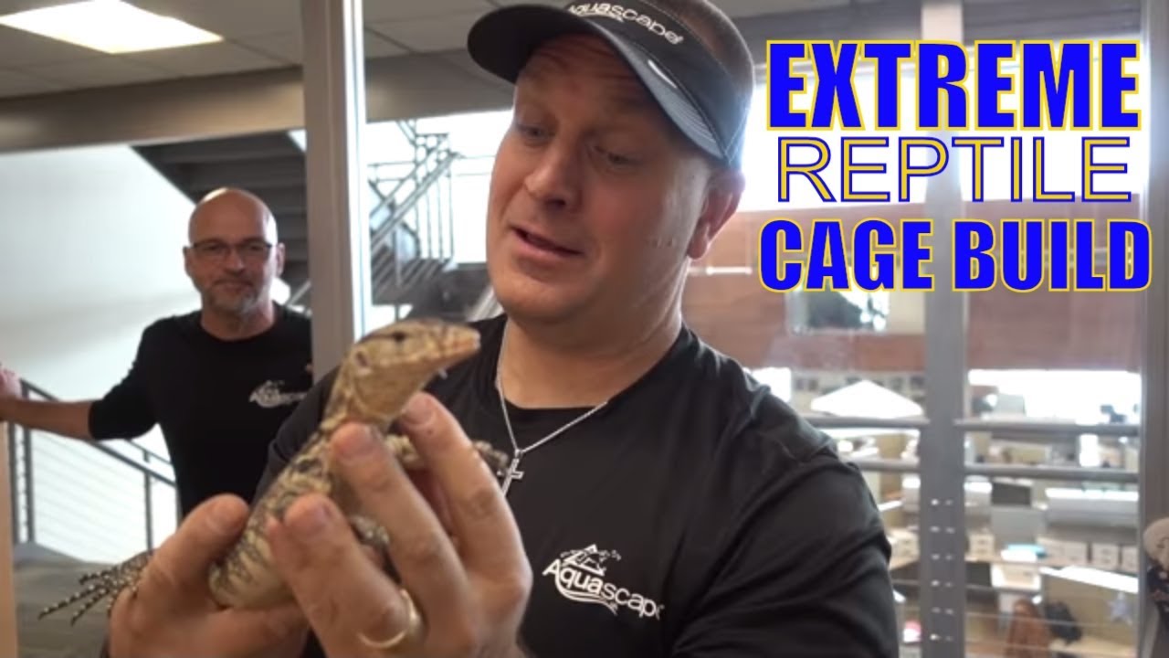 lizard cage set up How To Build EXTREME Reptile Vivarium + Aqualand Tour