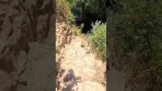España San Agustin del Guadalix Madrid 4K #senderismomadrid #cycling #sierrademadrid#travel #music