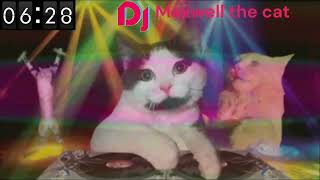 Dj Maxwell The Cat Mental Test Who Can Last 10 Minutes?