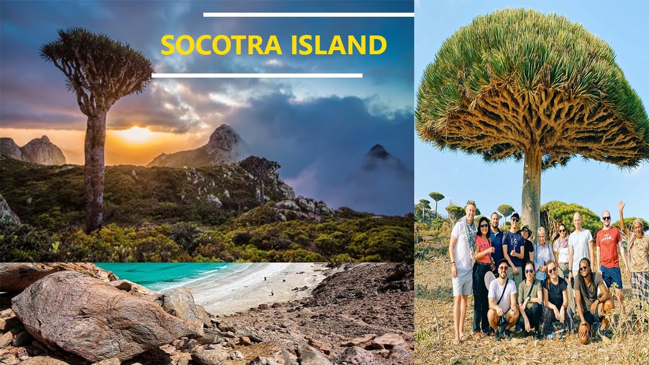 Socotra Island - The Alien Beauty | Unknown Places Around The World