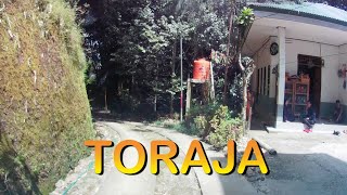 Jelajah Toraja