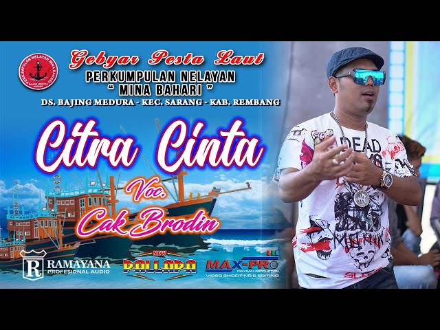 ● CITRA CINTA ● CAK BRODIN ● NEW PALLAPA BAJING MEDURO 2019 class=