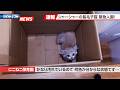 【にこねこ速報】とんでもなく可愛い子猫ちゃんがご入園しました