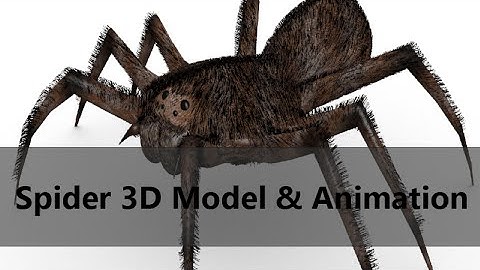 Spider 3D Model & Animation for Games Design (3DS MAX)
