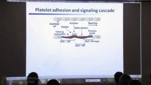 Cheng Zhu, Ph.D - Georgia Tech