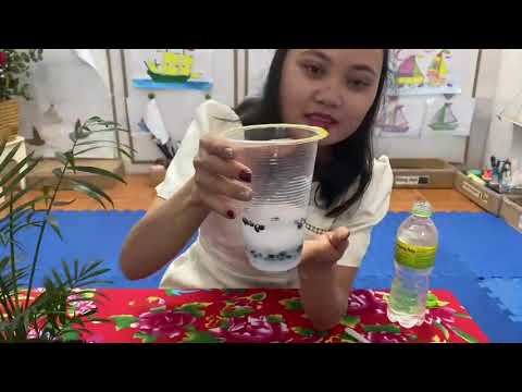 Hạt đậu nhảy múa