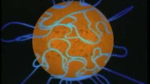 magnetic field dynamo.mov