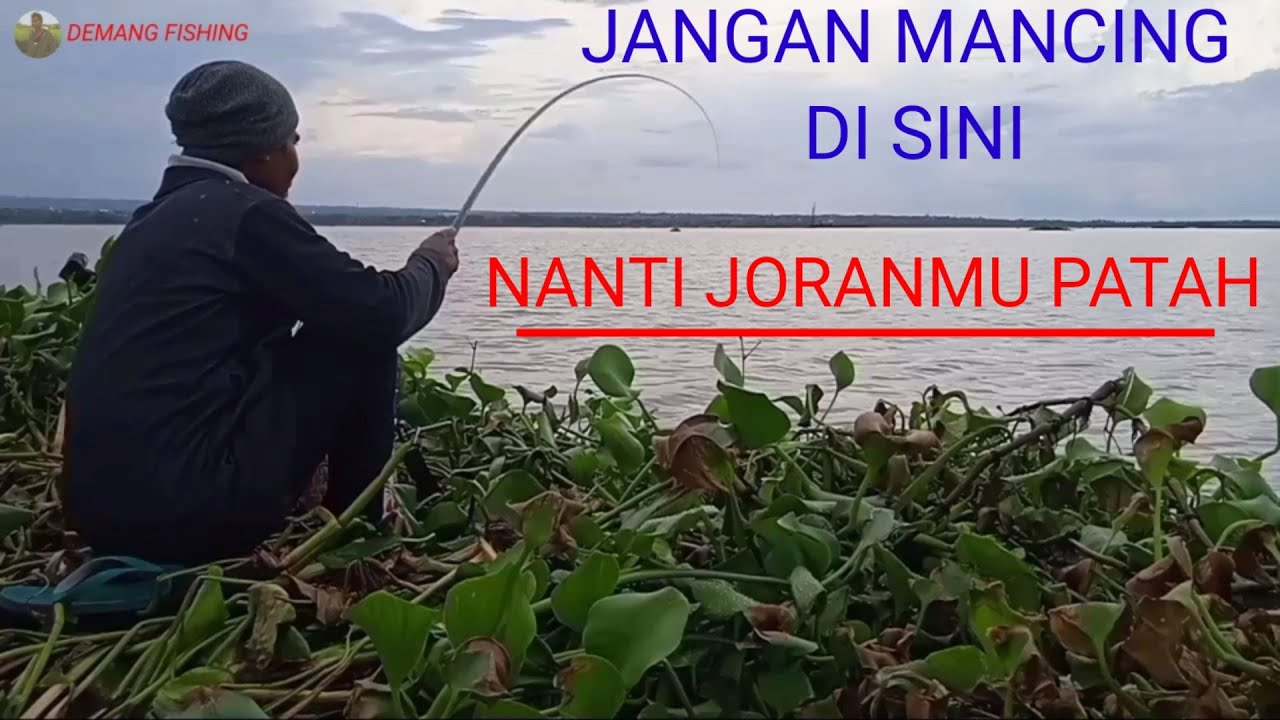 BENDUNGAN BATUJAI/ISINYA NILA BABON  SEMUA