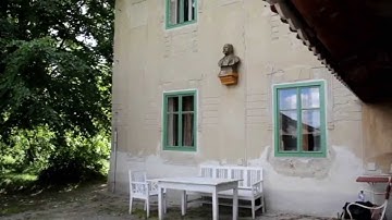 AvidMC 8.3 - fluid morph timewarp effect (slowmotion)