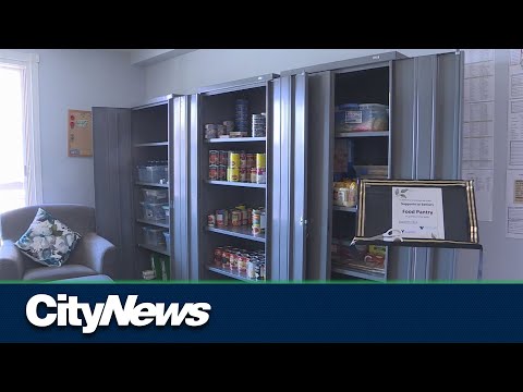 Non-profit launches free food pantry to support seniors