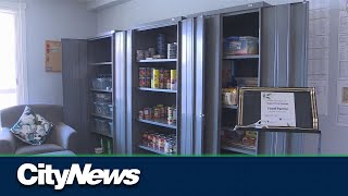 Non-profit launches free food pantry to support seniors