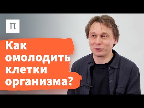 Видео: Что такое теория продолжительности жизни?