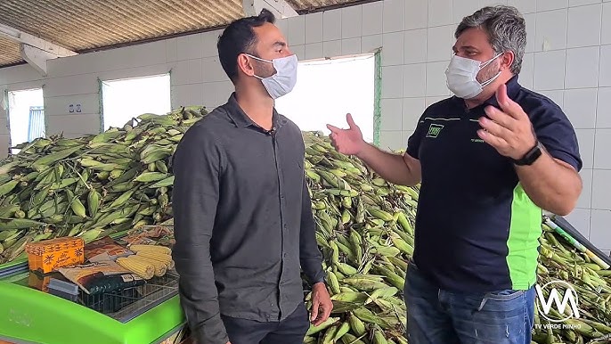 Influencer americano que bombou na web ao experimentar pamonha com palha do  milho traduz gírias goianas; vídeo, Goiás