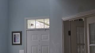 Robin pecking at window