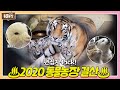 편집자 사심 듬~뿍 담긴 ★2020년을 빛낸 동물 총 결산★ I TV동물농장 (Animal Farm) | SBS Story