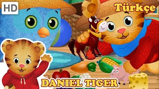 Temizlik Zamanı Tam Bölüm Daniel Tiger Türkçe