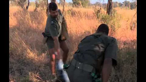 Hill’s: Kruger Park K9 Unit (7 August 2015)