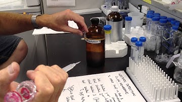 Western Detection on membranes