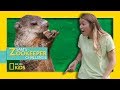 Animal Sanctuary Knowledge Assessment