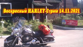 Воскресный Harley-Стрим 14.11.2021. Фоновая тема - фильмы и сериалы про байкеров и их сюжеты.