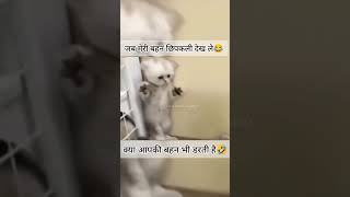 shortvideo trending comedy youtubeshortsजब मेरी प्यारी बहन छिपकली को देख ले तेरा तो कैसे कर दिया