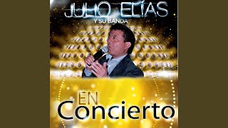 Video thumbnail of "Julio Elías - El gozo"