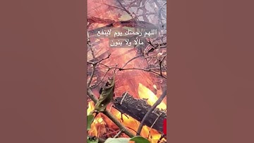 تلاوة خاشعة سورة الأعراف 🌹 القارئ فارس عباد ❤️