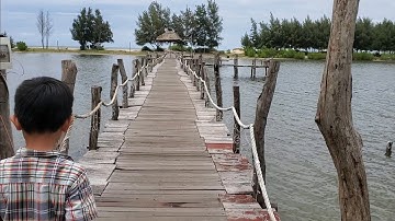 Đi tắm biển Hồ Tràm Hồ Cốc - Tham quan khu cắm trại Camping Rừng Và Biển - Chơi biển với chó Poodle