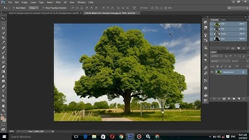 How to Cut Out Trees in Photoshop Easily | Powerful Cut Out Technique
