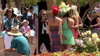Del Mar Races