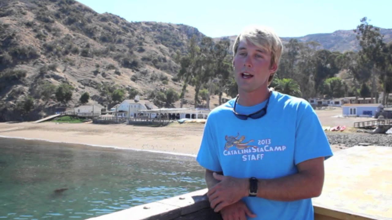 Download Ideas Inventions And Innovations October 2013 PSD Mockup Templates