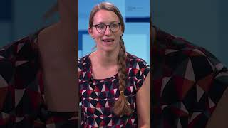 Sind kleine Unternehmen von den Pflichten der Entwaldungsverordnung (EUDR) ausgenommen? #shorts