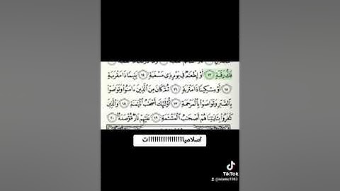 القارئ الشيخ هاني الرفاعي حفظه الله سوره البلد
