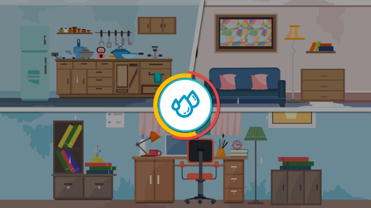 Mold Removal Arlington Heights IL | Call Us Now 224-263-9375 | Mold Remediation Arlington Heights IL