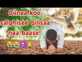 Diinaa Koo Salphisee Bilisaa Naa Baase Du Aa Naa Oolche Faarfannaa Afaan Oromoo 