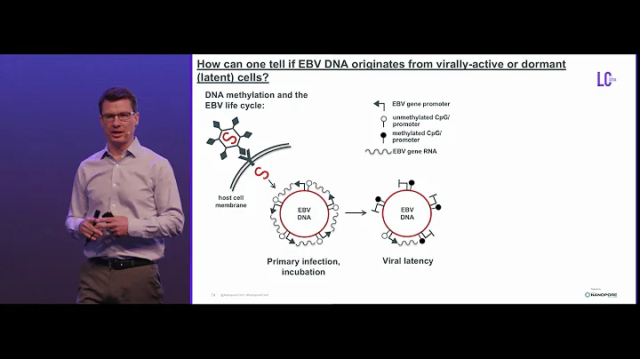 Discerning the origin of Epstein-Barr virus in pat...