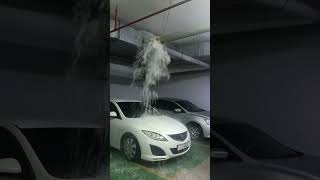 Downpour Takes Toll on Garage's Rain Pipe