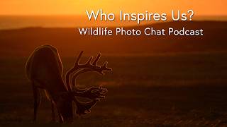 Who Inspires Us? - Wildlife Photo Chat Video @RayHennessy