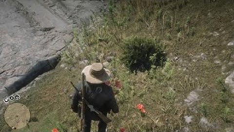 *SPOILERS AHEAD* Game breaking bug? (aftermath) | Red Dead Redemption 2