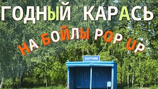 ЛУЧШАЯ СНАСТЬ ПО КАРАСЮ + БОЙЛЫ POP UP РЕШАЮТ ПРОБЛЕМУ БЕЗРЫБЬЯ. ГОРОХОВАЯ МАСТЫРКА! ВОТ ЭТО РЫБАЛКА