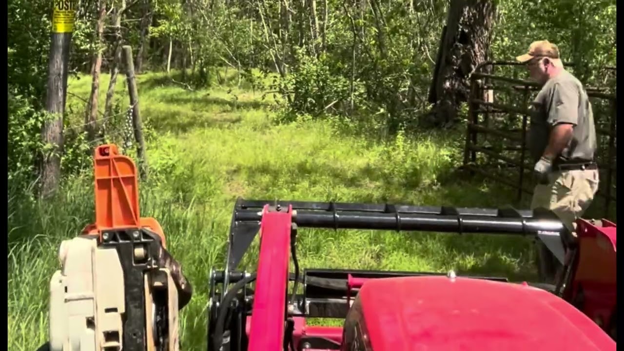 Hunting land and working with my buddy 