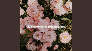 Breathtaking Ambience for Brave Keynotes