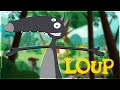 LOUP sur TiJi : Chaque jour à 8h30 et 16h10