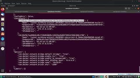 GitLab Docker Executor #1.6 User Defined Network