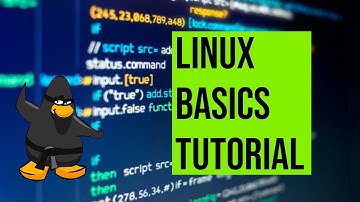 Master Linux Terminal in 5 Videos! Part 1- Basics