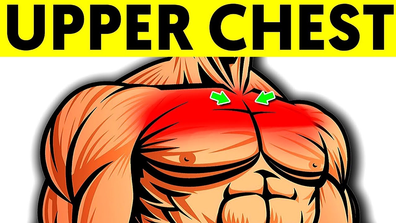 8 Exercises For An Attractive Upper Chest YouTube 8-exercises-for-an-attractive-upper-chest-youtube